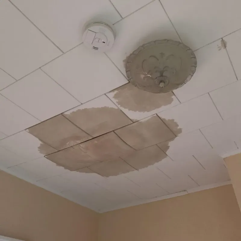 Ceiling Water Damage Repair in Canton, NY