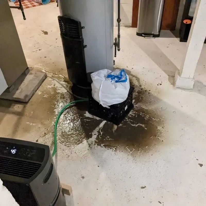 Sewage Backup Cleanup Service in Canton, NY